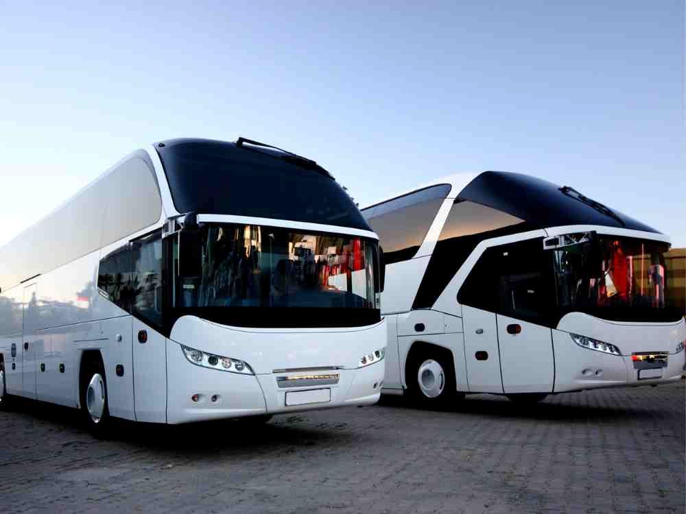 From the Nile to the Desert: Discover the Best Ways to Travel Around Egypt